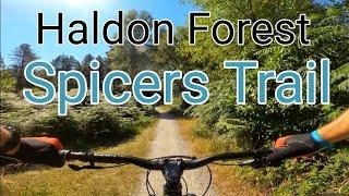 Spicers Trail | Mountain Biking at Haldon Forest