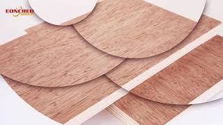 1220x2440mm eoncred fancy plywood- Factory Manufacturer