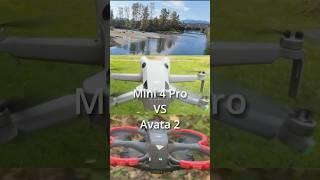 How to River Dive with drone: DJI Mini 4 Pro vs Avata 2! #dji #drone