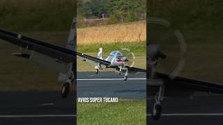 Butter Without Bread #aviation #rc #landing