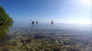 Ocean Kayaking Placencia Peninsula | RV Belize to False Caye