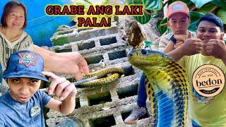 MALUSOG NA COBRA, NAMULABOG NG MAPAYAPANG SIESTA! BRGY. ANGALAN #Banakon #KingCobra #CobraTeam