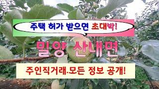 밀양 산내면 급매물.. 전원주택 허가받으면 대박나는 물건! 주인직거래.. 모든 정보 공개.. 인생2막 귀농하실 분.(답사 및 신비로운 구름기둥)
