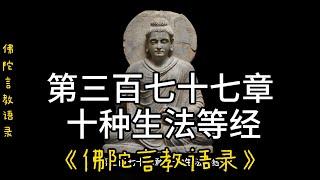 377.第三百七十七章 十种生法等经《佛陀言教语录》