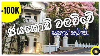 ජයකොඩි වලව්ව | Jayakody Walawwa | Documentary | Chala Ruu Production