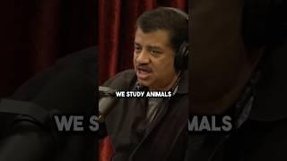 Magpie Drinking  w/ Neil deGrasse Tyson