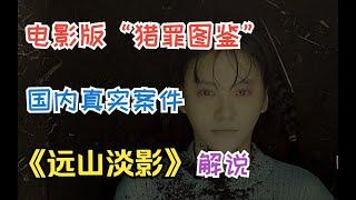 【一集一案件】根据国内真实案件改编，电影版“猎罪图鉴”《远山淡影》解说