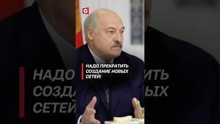 Лукашенко: Надо прекратить создание новых сетей! #лукашенко #политика #новости #батька #беларусь