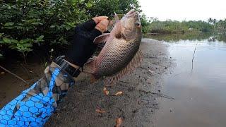 ML Ep07 Mangrove Snapper | Mangagat | Shore casting Philippines..