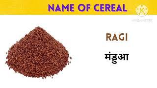 Name of the cereals in english and hindi with pictures for kids || names of grains and cereals