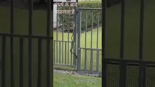 #shorts #indian #bestmotivationalvideo #deshbhakti #totrending #dimagi_paheliyan #rajasthani #shorts