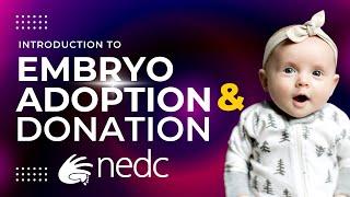 Embryo Adoption & Embryo Donation 101