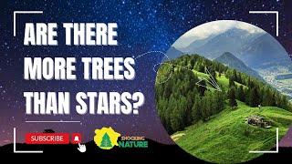 Are there more trees on Earth than stars in the galaxy?