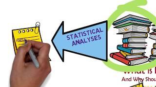 What is Meta-Analysis? And Why Should HR Professionals Care?