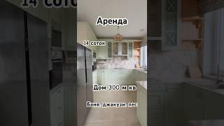 Аренда дома в лесу за $1500