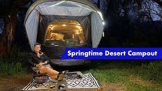 Desert springtime solo camp, in my 5th gen 4Runner