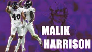 Malik Harrison: The Ravens ANSWER at ILB?