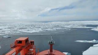 Chinese scientists brave harsh conditions to carry out Arctic expedition