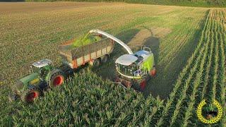 Maisernte 2018 / Claas Jaguar 970 / Kemper 390+ / LU Carsten Walkling