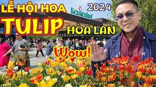 Ngỡ ngàng Vườn hoa Tulip Keukenhof lớn nhất thế giới tròn 75 tuổi || Du Lịch Châu Âu || Nick Nguyen