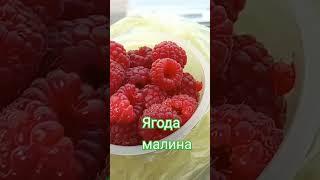 Малина в октябре#осеньоктябрь#ЕЛИЗАВЕТА#
