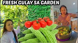 SARAP MAG HARVEST NG TANIM MO - Pinay sa Amerika