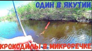 ДА СКОЛЬКО ЖЕ ЕЕ В ЭТОЙ МИКРОРЕЧКЕ!!! ЭТО КРОКОДИЛЫ ПРОСТО!!! Один в Якутии!!!