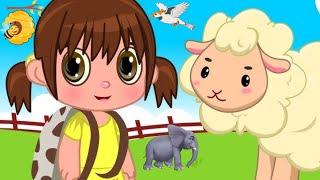 Mary Had A Little Lamb | Nursery Rhymes & Kids Songs | Cartoon network club