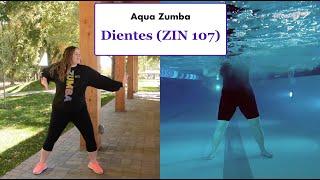 Aqua Zumba "Dientes" (ZIN 107) -- Split Screen --