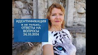 ИДЕНТИФИКАЦИЯ  И не только...Ответы на ваши вопросы 24.10.2024