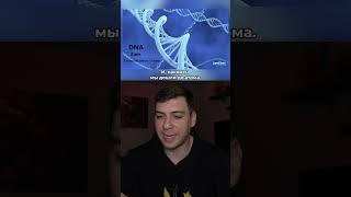 МИР ВНУТРИ НАС