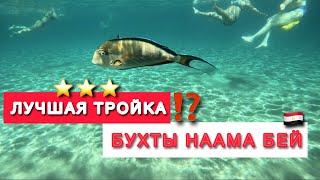  ЕГИПЕТ 2024 ЛУЧШАЯ ТРОЙКА БУХТЫ НААМА БЕЙ ⁉️ Naama blue hotel 3* / Sham el Sheikh /