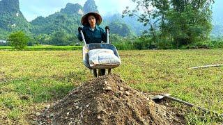 Overcoming difficulties : Orphaned Girl Tries to Build Her Own Home Amid Harsh Weather