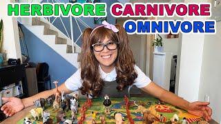 Herbivore, Carnivore and Omnivore Animals for Kids | Educational Videos for Kids