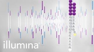 Overview of Illumina Sequencing by Synthesis Workflow | Standard SBS chemistry