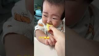 쌔그럽다구여ㅜㅠ사과먹방ㅋㅋㅋㅋㅋ부르르르~
