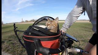 Cats bike adventure into Hungary 