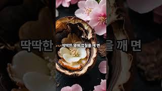 개암나무 #야생화 #꽃나무 #개암나무