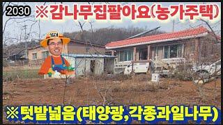 ※감나무가많은.정겨운농가주택 ※강화도농가주택 강화도전원주택 강화도토지 강화도땅 강화도부동산 강화도농막 김포전원주택 강화농가주택 부성부동산Tv