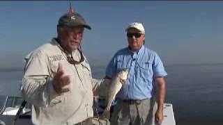 Light Tackle Coastal Georgia Redfish - Tips and Techniques for catching fish!