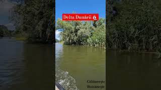 Delta Dunării ️ #interesante #curiozitati #fyp #trending #turism #calatorie #romania #deltadunarii