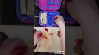 Tara Clontz - Reply to @courtneysabot packing lunch for preschool! #momlife #sahm #tarastable