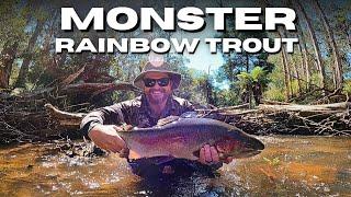 Insane Victorian High Country Trout Fishing! New PB Rainbow Trout!