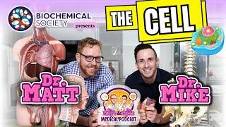 The Cell | Dr Matt & Dr Mike's Medical Podcast