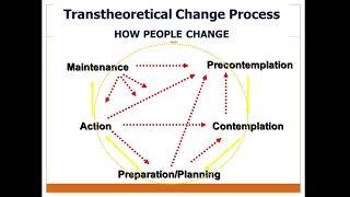 Introduction to psychotherapy.