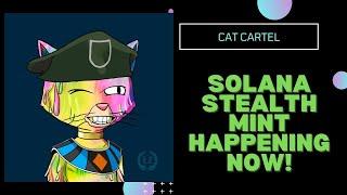 Cat Cartel Stealth Mint. I Aped in! TIME SENSITIVE VIDEO