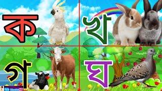 ব্যাঞ্জনবর্ণ | বাংলা বর্ণমালা learn bengali alphabet | ক  | কাকাতুয়া ক কলম ক কবিতা | খ খরগোশ...