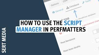 Script Manager Tutorial 2020 - How To Cleanup WordPress Plugin Assets Using Perfmatters Plugin