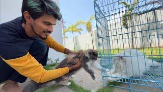 NIKKI meets ROCKY.. NIKKI இப்படி செஞ்சுட்டா..