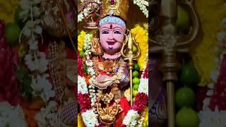 19th Day Annual Festival 2024| Alangaram | Ealing Amman Temple